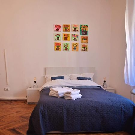 Travel And Music Apartment Temešvár Exteriér fotografie