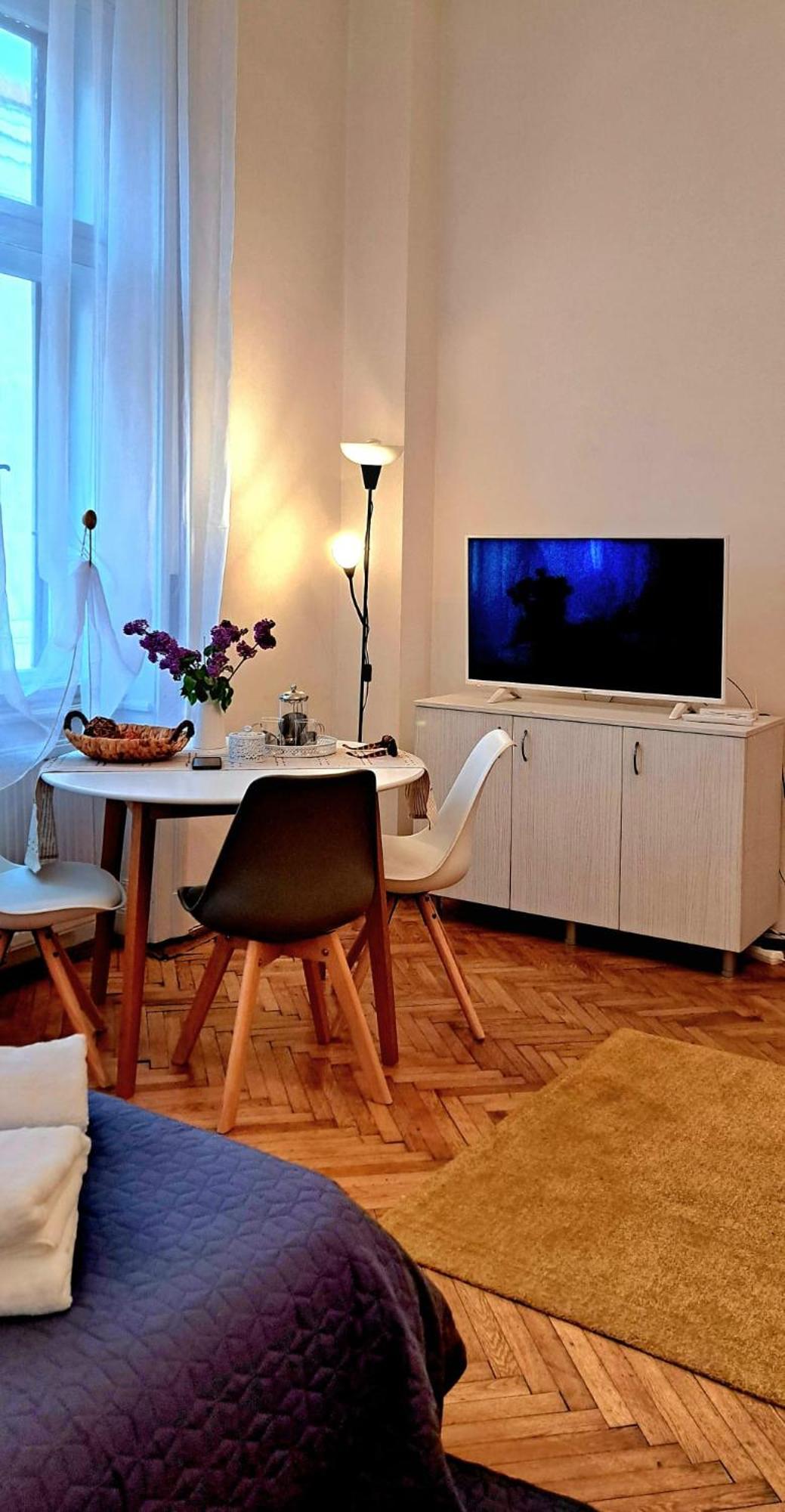 Travel And Music Apartment Temešvár Exteriér fotografie